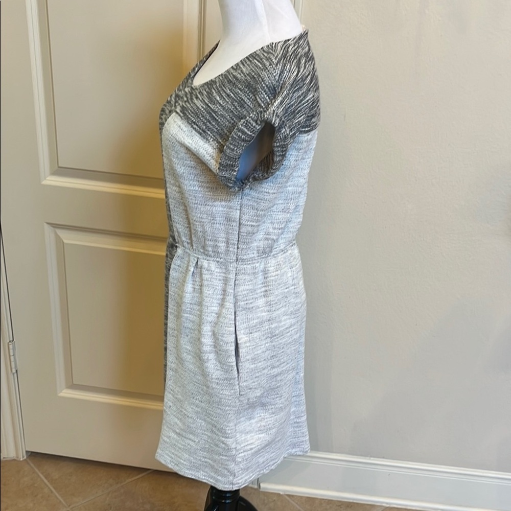 Anthropologie Chic Gray and White Knit Dress - Picture 2 of 11